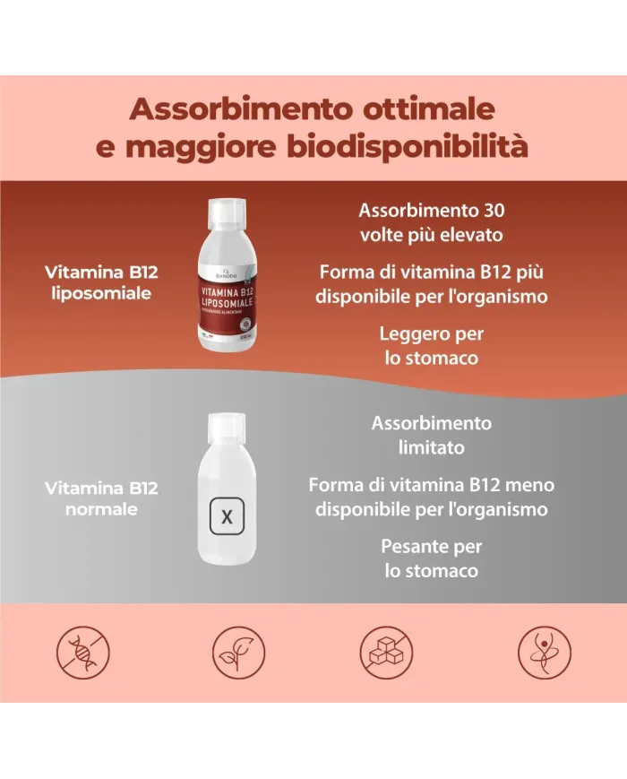 Vitamina B12 Liposomiale - Liquida 250 ml